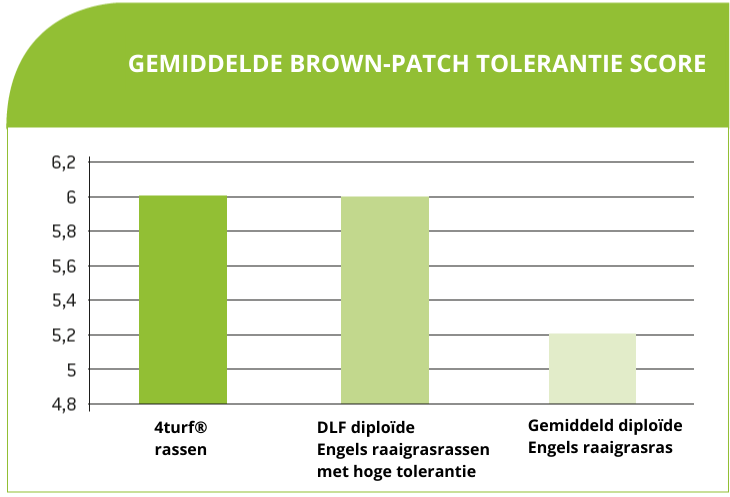 4turf rassen hebben een hoge mate brown patch tolerantie